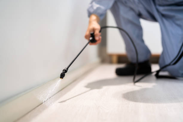 Bed Bug Pre-Treatment Preparation Assessment in Comanche