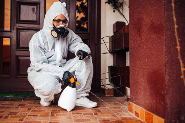Multi-Unit and Airbnb Bed Bug Protocol in Comanche