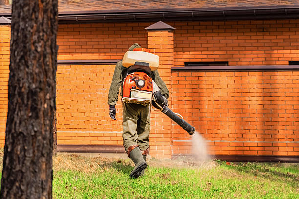 Bed Bug Clearance Verification and Documentation in Comanche